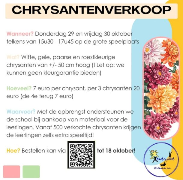 Wonderster wil verkooprecord verbreken: 500 chrysanten goed voor extra speeltijd.